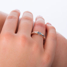 Load image into Gallery viewer, Hand image for scale only.
